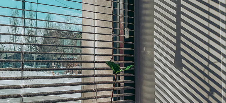Commercial Window Blinds in Riviera Beach, FL