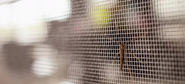 Repair Mosquito Mesh For Windows in Riviera Beach, FL